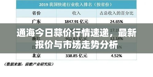 通海今日蒜價(jià)行情速遞，最新報(bào)價(jià)與市場(chǎng)走勢(shì)分析