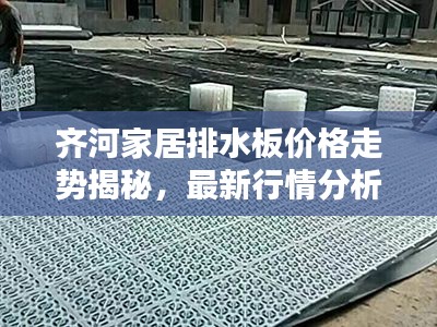 齊河家居排水板價(jià)格走勢揭秘，最新行情分析