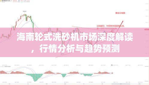海南輪式洗砂機(jī)市場(chǎng)深度解讀，行情分析與趨勢(shì)預(yù)測(cè)