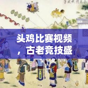 頭雞比賽視頻，古老競技盛宴再現輝煌！