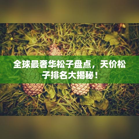 全球最奢華松子盤點，天價松子排名大揭秘！