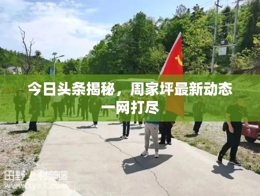 今日頭條揭秘，周家坪最新動(dòng)態(tài)一網(wǎng)打盡