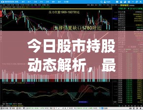 今日股市持股動態(tài)解析，最新策略與趨勢分析