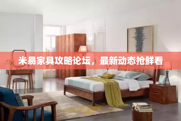 米易家具攻略論壇，最新動(dòng)態(tài)搶鮮看