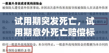 試用期突發(fā)死亡，試用期意外死亡賠償標(biāo)準(zhǔn)2020 