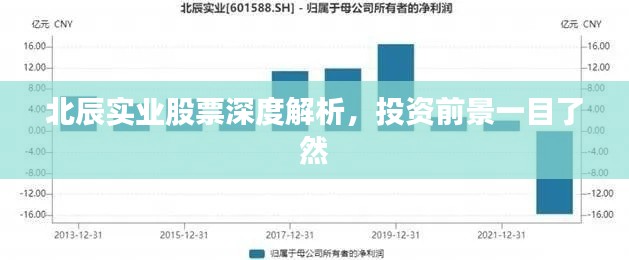 北辰實業(yè)股票深度解析，投資前景一目了然
