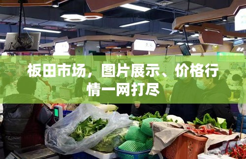 板田市場(chǎng)，圖片展示、價(jià)格行情一網(wǎng)打盡