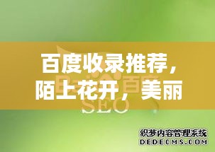 百度收錄推薦，陌上花開(kāi)，美麗邂逅盡在百度之中