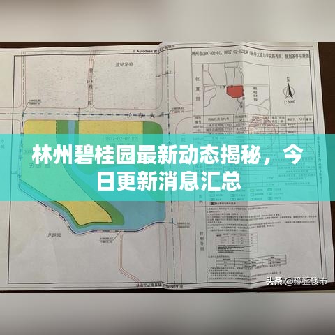 林州碧桂園最新動(dòng)態(tài)揭秘，今日更新消息匯總