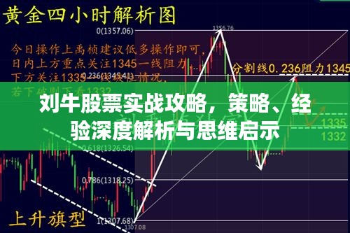 劉牛股票實(shí)戰(zhàn)攻略，策略、經(jīng)驗(yàn)深度解析與思維啟示