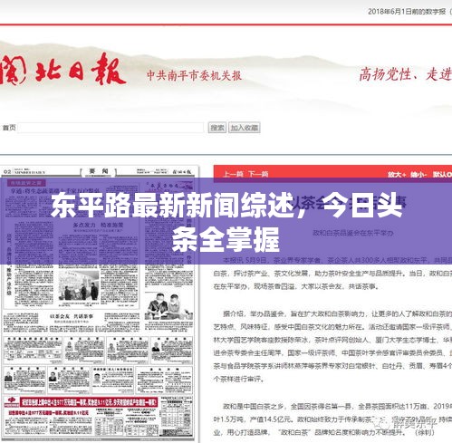 東平路最新新聞綜述，今日頭條全掌握