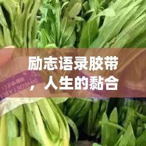 勵志語錄膠帶，人生的黏合劑，引領你走向成功之路