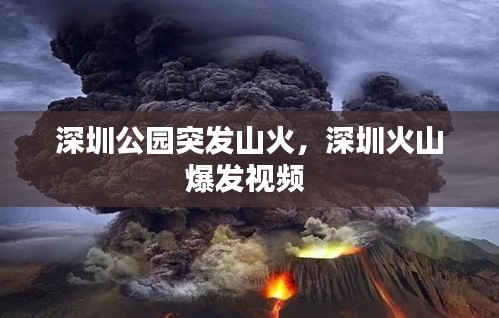 深圳公園突發(fā)山火，深圳火山爆發(fā)視頻 