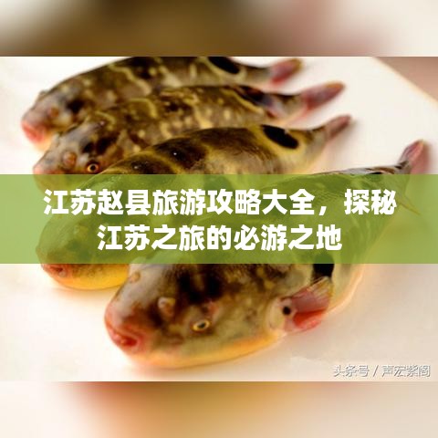 江蘇趙縣旅游攻略大全，探秘江蘇之旅的必游之地