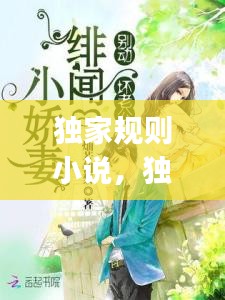 獨家規(guī)則小說，獨家jiyi 