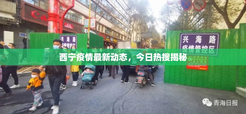 西寧疫情最新動(dòng)態(tài)，今日熱搜揭秘