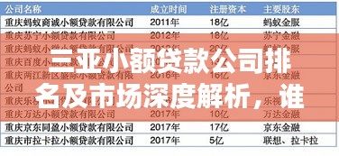 三亞小額貸款公司排名及市場深度解析，誰是行業(yè)佼佼者？