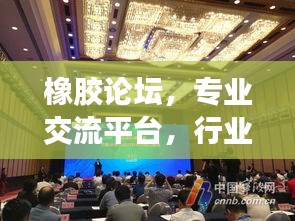 橡膠論壇，專業(yè)交流平臺，行業(yè)精英齊聚一堂