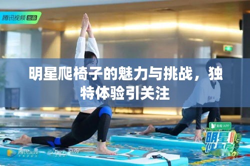 明星爬椅子的魅力與挑戰(zhàn)，獨(dú)特體驗(yàn)引關(guān)注