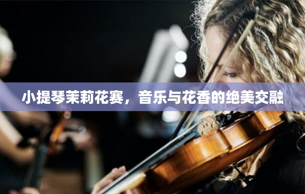 小提琴茉莉花賽，音樂與花香的絕美交融