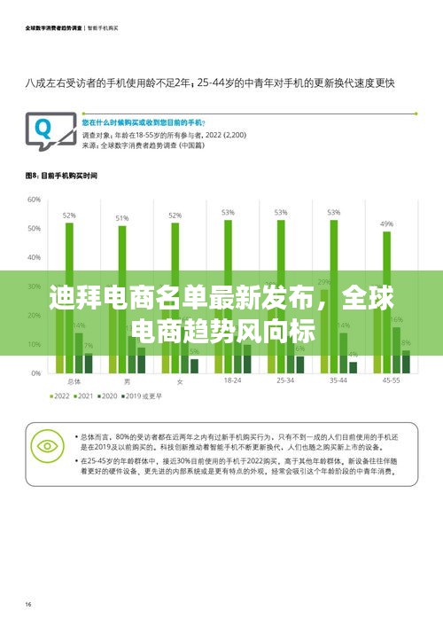 迪拜電商名單最新發(fā)布，全球電商趨勢風(fēng)向標(biāo)