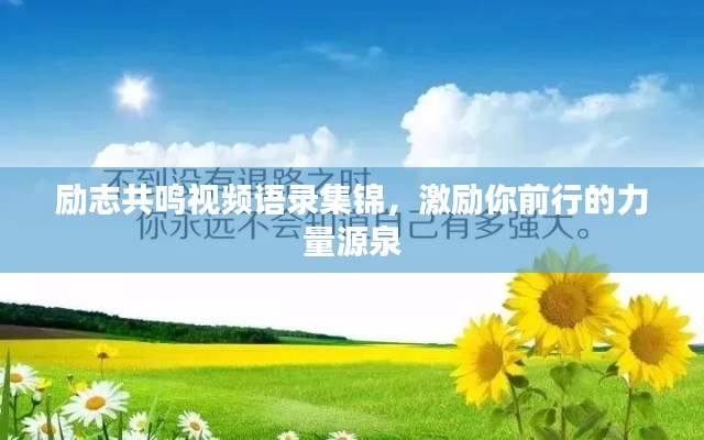 勵志共鳴視頻語錄集錦，激勵你前行的力量源泉