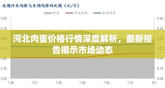 河北肉蛋價(jià)格行情深度解析，最新報(bào)告揭示市場(chǎng)動(dòng)態(tài)