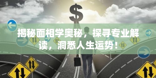 揭秘面相學奧秘，探尋專業(yè)解讀，洞悉人生運勢！
