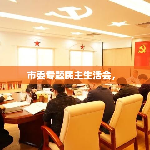 市委專題民主生活會， 