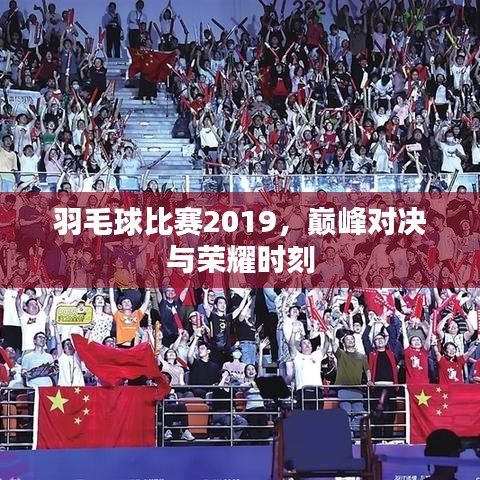 羽毛球比賽2019，巔峰對決與榮耀時刻