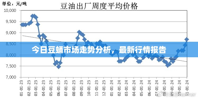 今日豆蛹市場走勢分析，最新行情報(bào)告