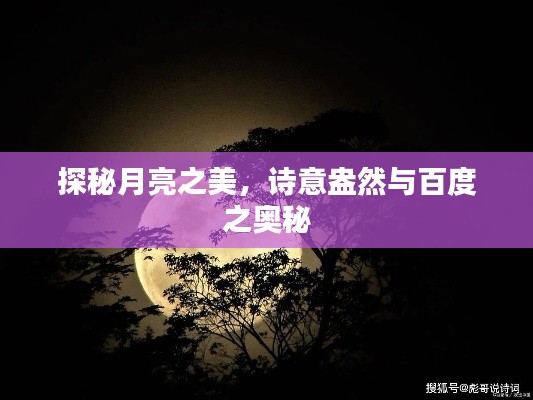 探秘月亮之美，詩(shī)意盎然與百度之奧秘