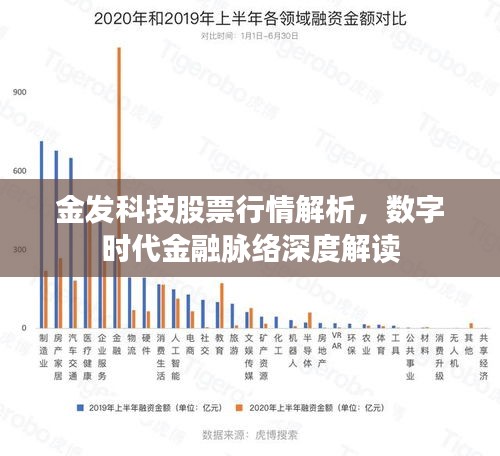 金發(fā)科技股票行情解析，數(shù)字時代金融脈絡(luò)深度解讀