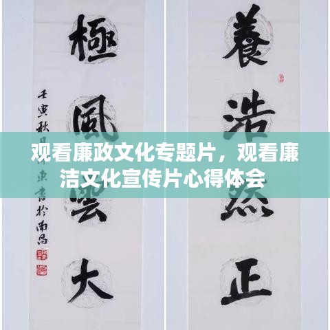 觀看廉政文化專題片，觀看廉潔文化宣傳片心得體會 