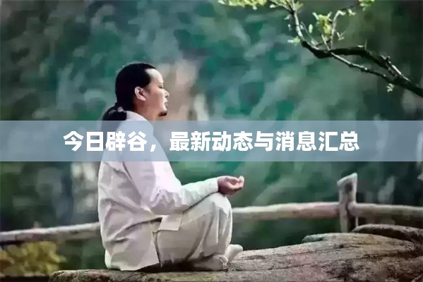 今日辟谷，最新動(dòng)態(tài)與消息匯總
