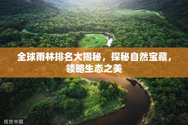 全球雨林排名大揭秘，探秘自然寶藏，領(lǐng)略生態(tài)之美