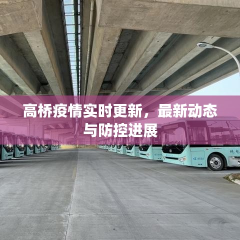 高橋疫情實(shí)時(shí)更新，最新動(dòng)態(tài)與防控進(jìn)展