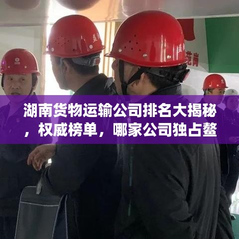 湖南貨物運(yùn)輸公司排名大揭秘，權(quán)威榜單，哪家公司獨(dú)占鰲頭？
