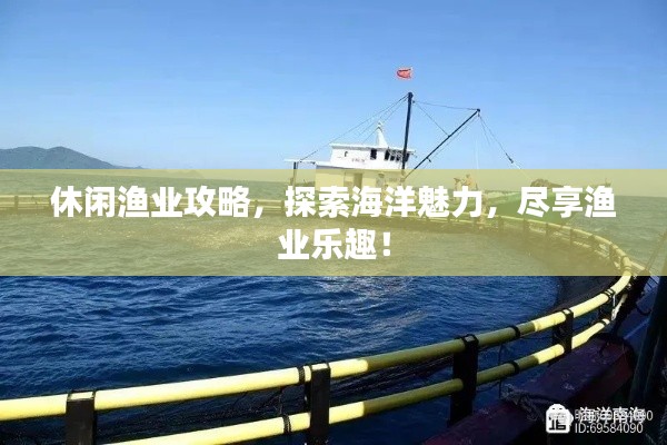 休閑漁業(yè)攻略，探索海洋魅力，盡享漁業(yè)樂趣！