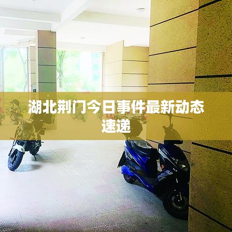 zhangfeichuanzhen 第2頁
