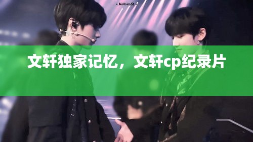 文軒獨家記憶，文軒cp紀錄片 