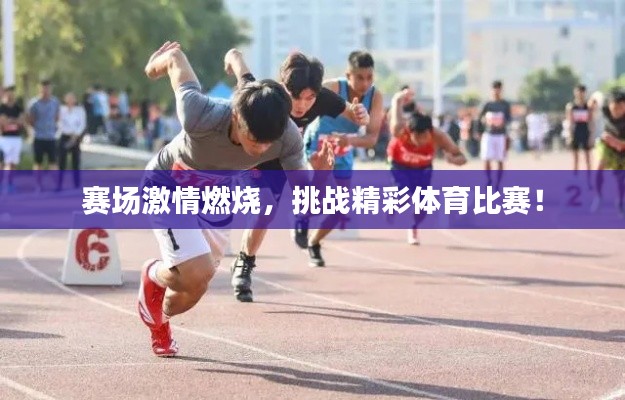 賽場激情燃燒，挑戰(zhàn)精彩體育比賽！