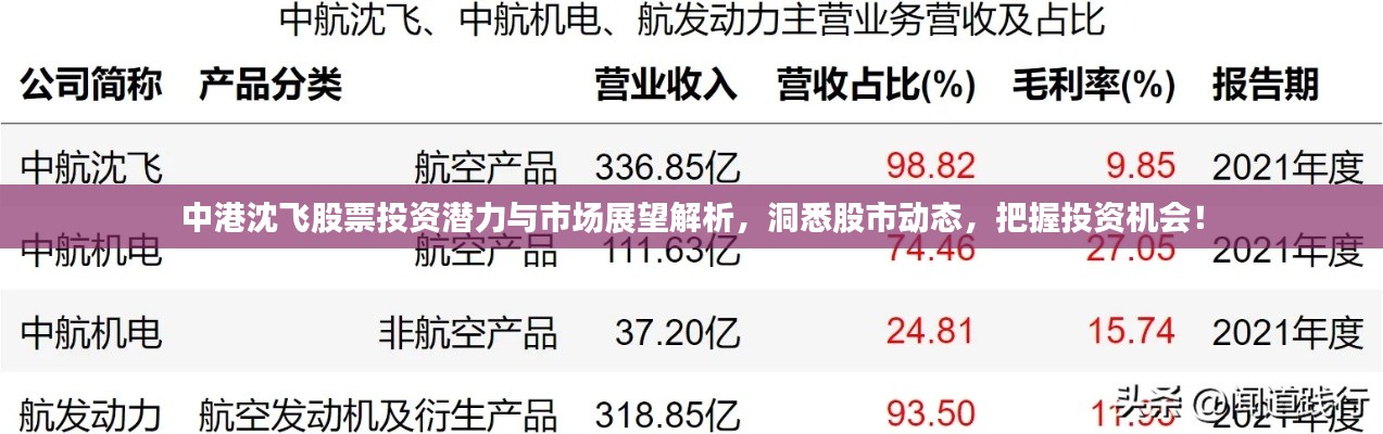 中港沈飛股票投資潛力與市場展望解析，洞悉股市動態(tài)，把握投資機會！