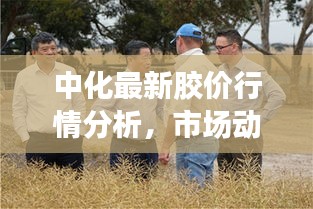 中化最新膠價行情分析，市場動態(tài)與未來展望速遞