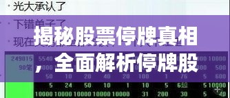 揭秘股票停牌真相，全面解析停牌股票影響及查詢攻略