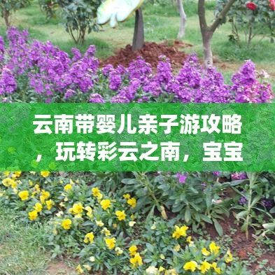 云南帶嬰兒親子游攻略，玩轉(zhuǎn)彩云之南，寶寶也能享受無(wú)限樂(lè)趣！