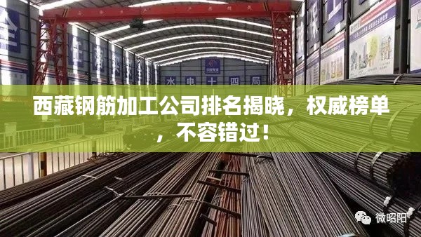 西藏鋼筋加工公司排名揭曉，權(quán)威榜單，不容錯過！