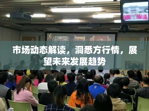 市場動(dòng)態(tài)解讀，洞悉方行情，展望未來發(fā)展趨勢