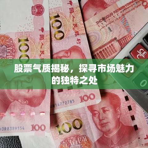 股票氣質(zhì)揭秘，探尋市場魅力的獨特之處