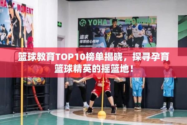 籃球教育TOP10榜單揭曉，探尋孕育籃球精英的搖籃地！